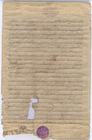 Open original Digital object