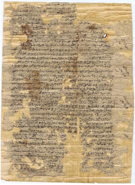 ...... - ...... - ....... – ....... -